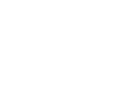 premium food